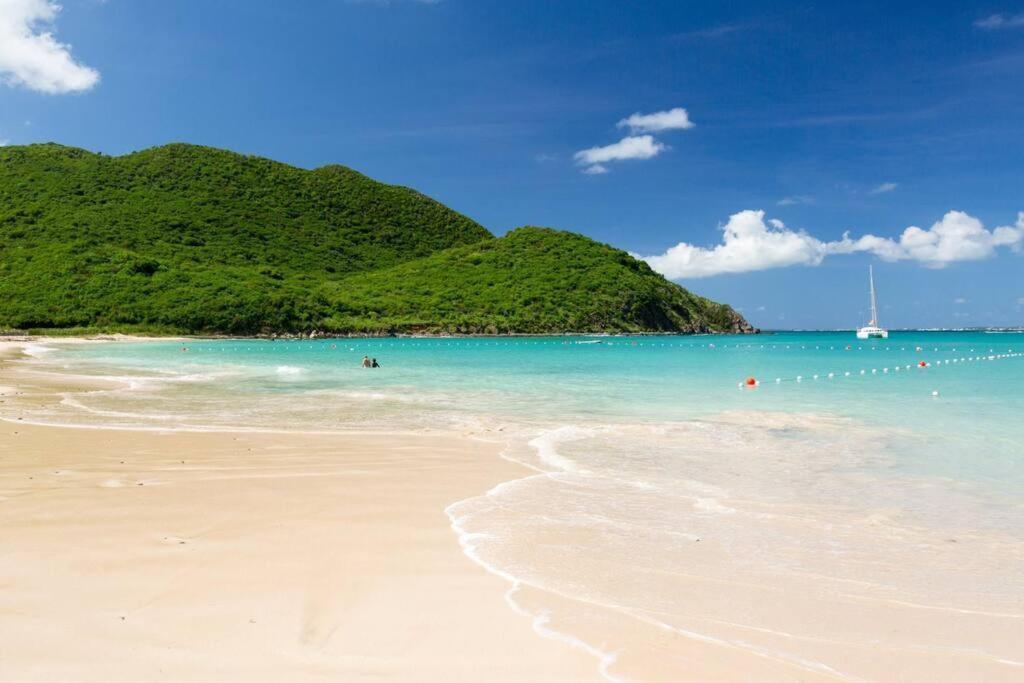 Appartement Duplex Kakoon Saint Martin Anse Marcel 외부 사진
